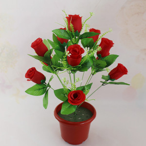 娟花花蕾 娟花花蕾品牌 价格 阿里巴巴 娟花花蕾 娟花花蕾品牌 价格 阿里巴巴
