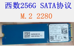 WD/西部数据256G M.2 2280固态硬盘 SATA NVME128G 240G 250G SSD