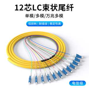 12芯束状尾纤单模光纤跳线LC/UPC广电专用万兆多模集束尾缆电信级