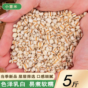 新小薏米仁5斤农家自产小薏仁米芡实薏苡仁意米仁五谷杂粮粗粮