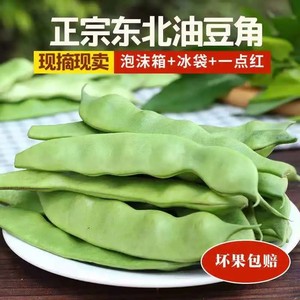 正宗东北油豆角一点红豆角每天新鲜蔬菜九月青现摘现卖开锅烂包邮