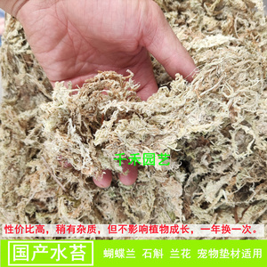 国产干水苔蝴蝶兰透气干苔藓石斛食虫植物营养土铺面花土宠物垫材