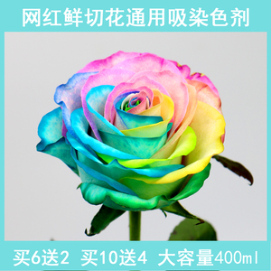 鲜花吸色 染色剂七彩玫瑰满天星马卡龙康乃馨郁金香吸色剂
