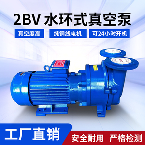 2BV水环式真空泵工业用不锈钢水循环防爆无油抽空气压缩机带水箱