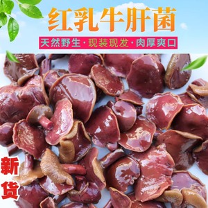 云南野生红乳牛肝菌天然绿色松树粗糠菌煲汤涮火锅凉拌菜特色食材