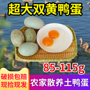 【双黄鸭蛋】农家散养新鲜鸭蛋土鸭蛋85-115克生鸭蛋绿壳特大双黄