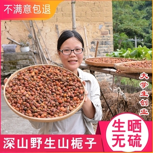 野生老品种山栀子500g农家生晒小个黄栀子果黄枝子栀子茶栀子干货