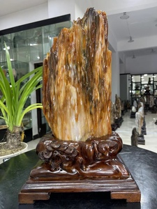 缅甸木化玉冰种树化石桌面奇石造型石头天然木化石树化玉原石摆件