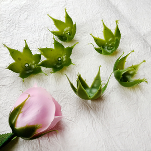 香皂玫瑰花萼11个 纸藤皱纹纸花手工DIY花束材料 花托