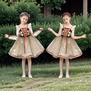 儿童芭蕾舞蹈服春夏蕾丝宫廷风儿童长纱裙芭蕾舞蹈裙蕾丝表演服装