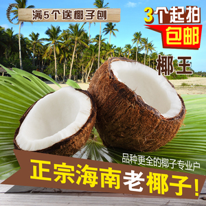 海南椰子包邮特产毛椰皇椰王水果发芽老椰子汁椰青新鲜椰子鸡汤