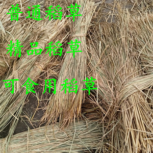 天然稻草东坡肉霉豆腐粽子可食用稻草 宠物专用稻草 牛羊饲料稻草
