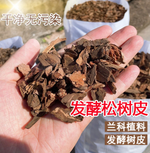 酵科树营皮松专子发腐鳞包块熟邮兰松花君兰兰植料用斛月季石养土