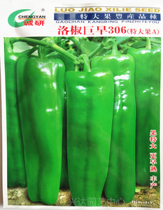 洛椒巨早306辣椒种子 四季特大果蔬菜泡椒种籽高产早熟青椒种孑苗