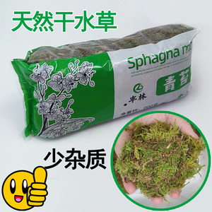 优质干苔藓国洋兰多肉食虫植物培养土透气不烂根水陆缸微景观水草