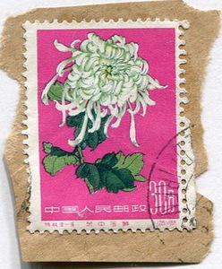特44-16   菊花特种邮票  30分  残片(盖海关戳)