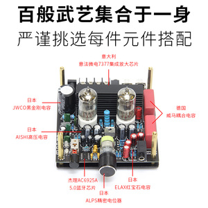 特价出口丹麦5.0蓝牙小功放发烧hifi胆机桌面房间电子管前级人声