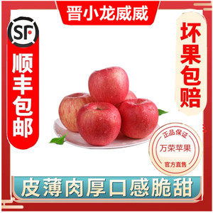 晋小龍威威山西万荣甜心红富士苹果10斤果园新鲜水果现摘顺丰包邮