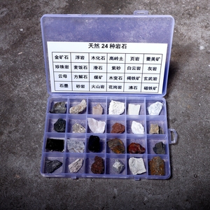 天然岩石标本盒浮石火山岩矿物地理自然地质科普教学标本儿童教学