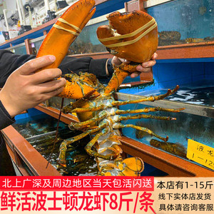 波士顿龙虾海鲜水产鲜活澳洲进口澳大利亚超特大龙虾礼包盒1-10斤