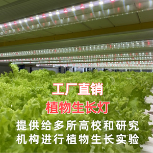 全光谱植物生长补光灯仿太阳光室内种植草莓水培叶菜蔬菜花卉绿植
