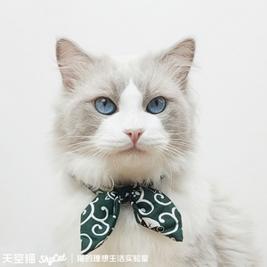 和风猫咪领结新年小猫饰品过年幼猫项链布偶用品可爱喜庆宠物项圈