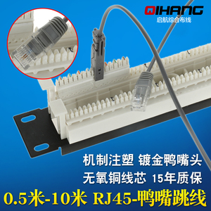 RJ45-鸭嘴头跳线 110电话网络配线架2芯1对鸭嘴测试线3 5 10米