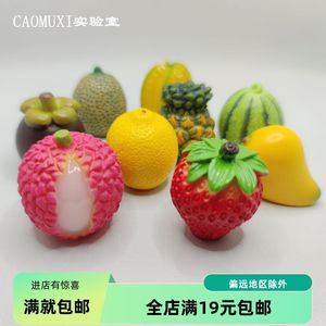 迷你版小号仿真水果西瓜草莓芒果柠檬荔枝菠萝树脂模型微景观摆件