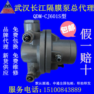 武汉长江单向气动隔膜泵 QDM CJ601S  上墨抽墨印刷胶水 促销活动