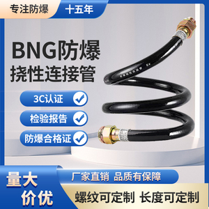 BNG防爆挠性管4分防爆挠性管穿线管DN15 DN20防爆挠性连接管定制