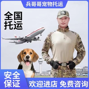 宠物托运服务全国猫咪狗狗空运北京上海广州深圳专车国际宠物托运