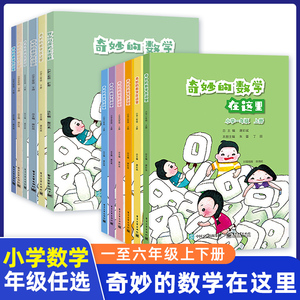 奇妙的数学在这里 一二三四五六年级上下册唐彩斌 特级教师公开教学课丰富数学理解书籍小学123456年级数学思维训练电子工业出版社