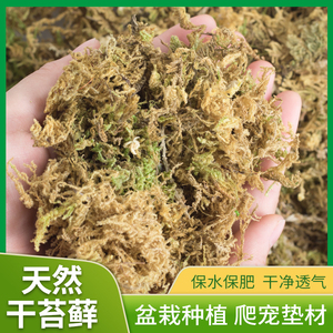 干苔藓青苔蝴蝶兰花专用营养土多肉种植水苔育苗乌龟冬眠垫材苔藓