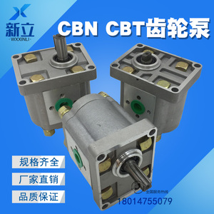齿轮泵CBN-E310 CBN-E306 CBN-E316 E320 E325 E304 E308 E312