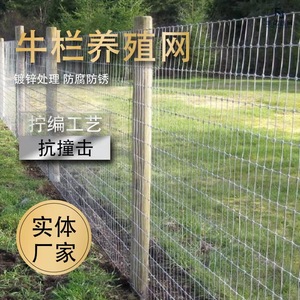 围栏网钢丝牛栏网圈地公园围栏热度防锈钢丝网养殖网圈地网护栏网