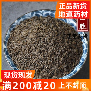 中药材 黑巨胜 黑生菜子黑巨胜子黑生菜籽 500克包邮（另有白巨胜