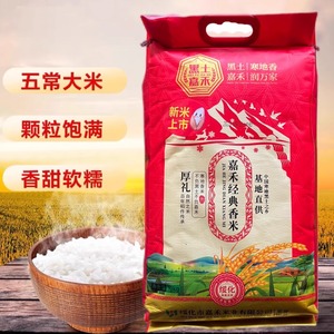 嘉禾五常香米20斤东北五常大米黑龙江大米香米长粒米2023年新米