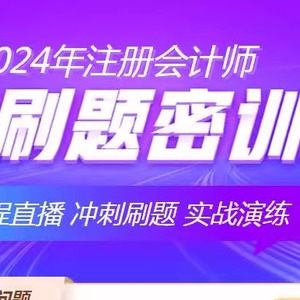 中华会计网校2024注会刷题密训班考前刷题神器税务师中级机考系统