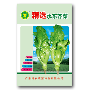 水东芥菜种子蔬菜种子（20g）广东省农科院选育粤蔬品牌