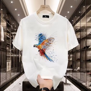 彩色鹦鹉图案印花短袖个性好看的T恤夏季上衣男女同款宽松潮潮流