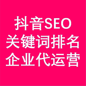 抖音seo 抖音seo优化 抖音搜索排名 抖音关键词排名优化