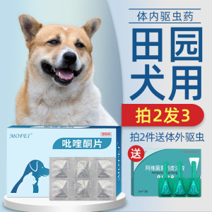 mofei 狗狗体内驱虫药大型犬用宠物内驱田园犬土狗打虫药吡喹酮片