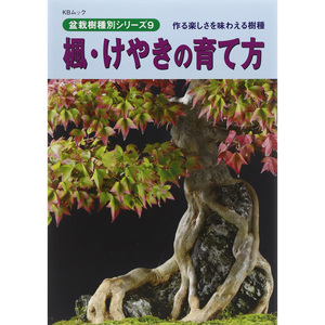 促现货 盆景枫树 榉树 楓 けやきの育て方 如何种植管理盆栽图书