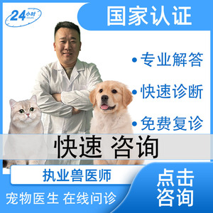 24小时宠物医生问诊在线上咨询犬猫咪狗狗诊所生看病医院药店兽医