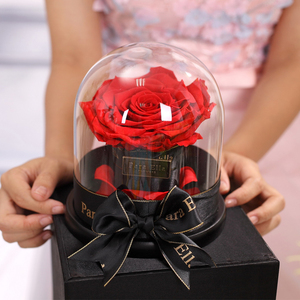 永生花玫瑰玻璃罩生日礼盒送女友干花摆件结婚纪念日野兽情人节派