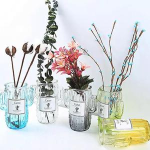 仙人掌玻璃花瓶透明插花水培多肉创意彩色装饰摆件小清新花盆
