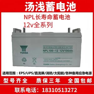 汤浅NPL100-12蓄电池12V100AH 24AH38AH65AH长寿命120AH155AH机房