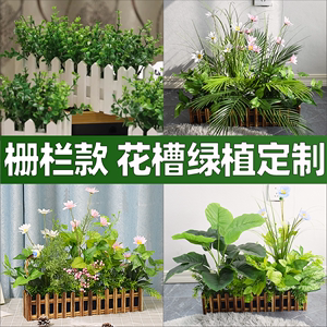 假盆栽花草装饰摆设仿真假的绿植栅栏盘栽塑料电视柜摆件绿色植物