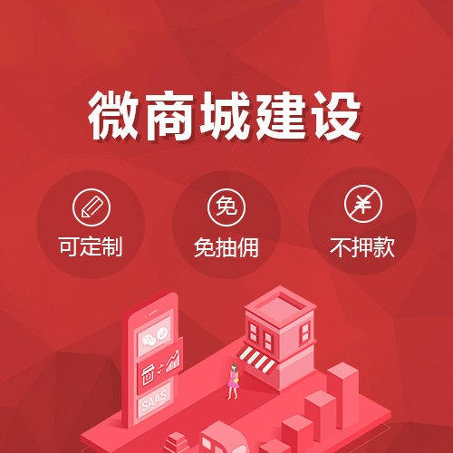 微商城开发/分销商城小程序定制/手机购物拼团app/电商系统源码