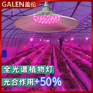 植物生长灯LED补光灯仿太阳全光谱多肉月季兰花卉防徒长散热性强.